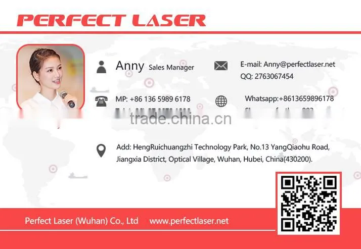 Perfect Laser- Carton continuous Industrial Inkjet Printer/ Case Coder/ Box expiry date printing machine