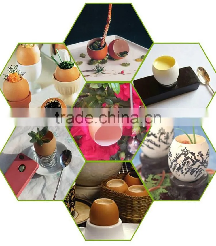 cheap wholesale high quality stainless steel open the egg apparatus
