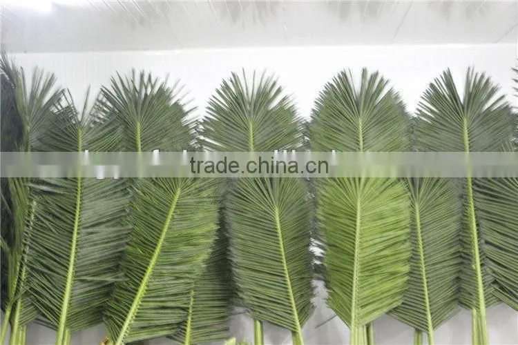 coconuts leaves price