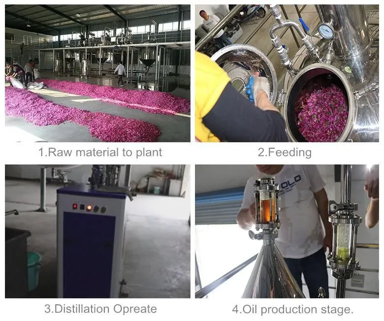 100L - 500L Honeysuckle Plant Flower Leaf Essential Oil Extractor Extraction Machine Essential Oil Distillation Equipment