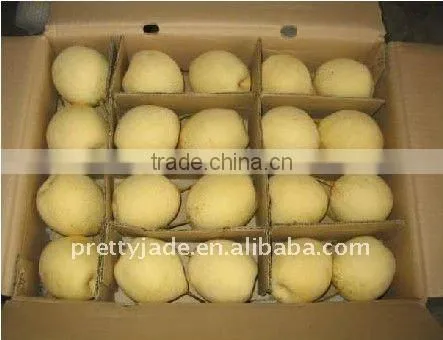 China fresh Ya pear for sale