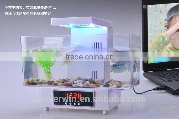 Fashionable usb mini desktop aquarium with LCD light and time shows