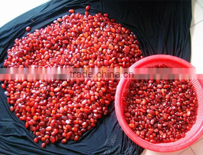 Wholesale gems , tibet turquoise cabochon round