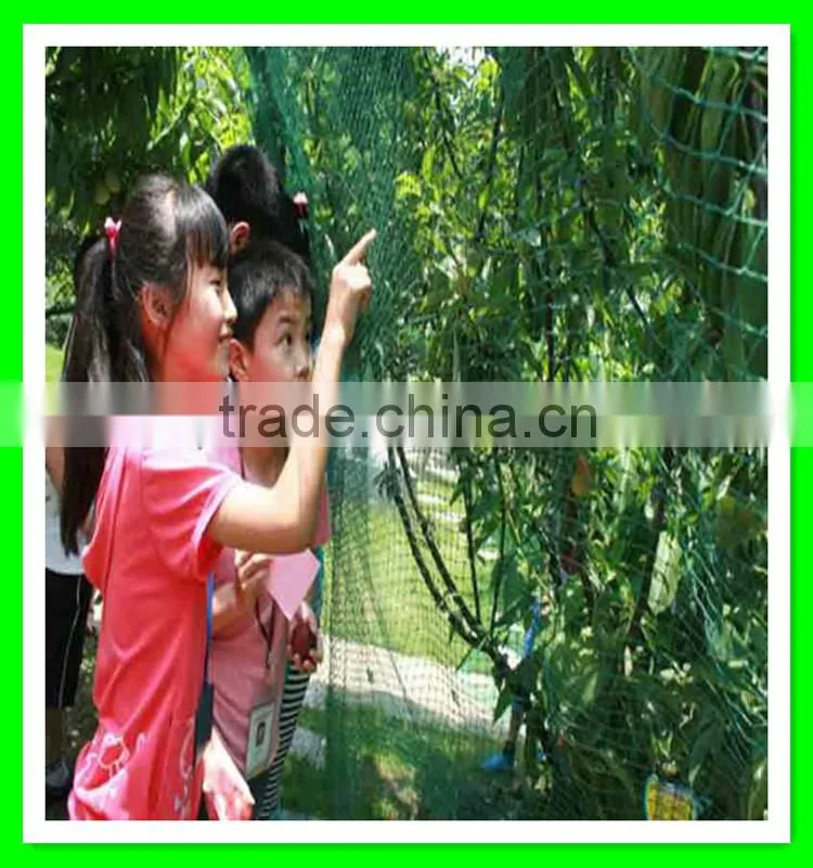 High quality garden used white anti bird net from Henan