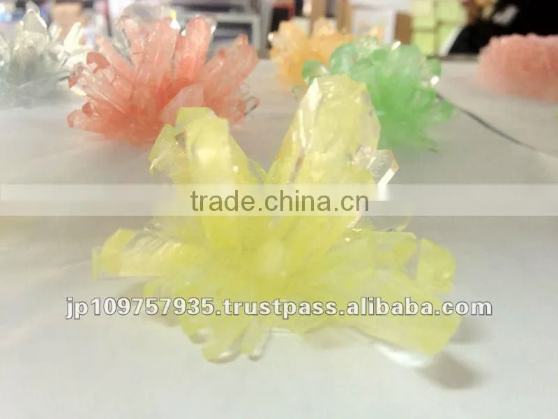 Gift of science toys Magic growing crystal