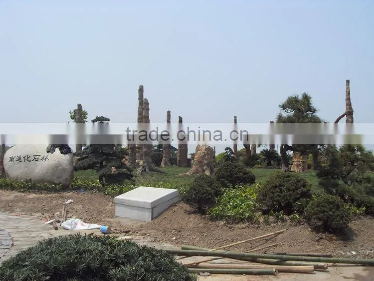 Simulation plant siliciffied wood