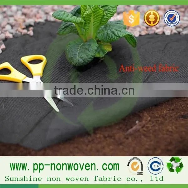 Anti-grass cloth and non woven control weed mat