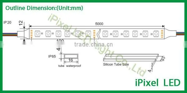 DC12V DC24V Available 5050 RGBW/RGBWW/RGBCW LED Strip