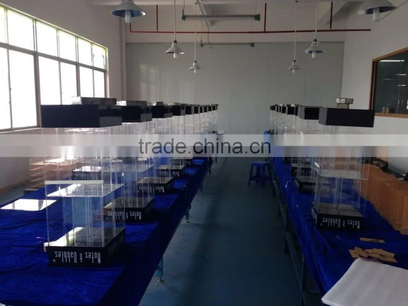 acrylic fish aquariums/fish tank with customized size