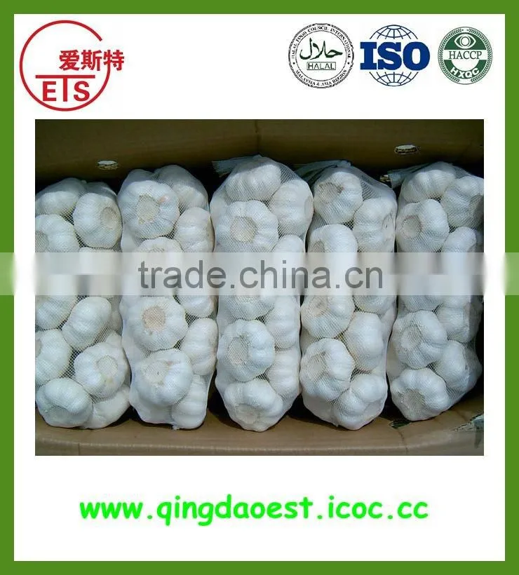2016 high quality fresh white garlic from china