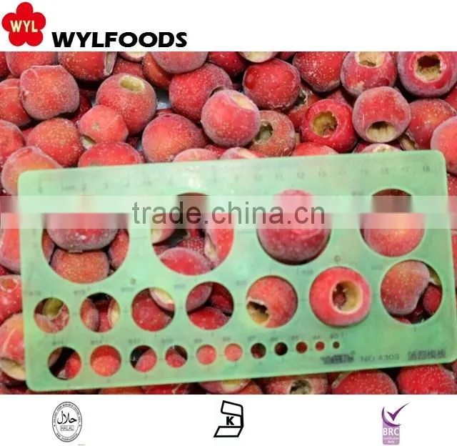 china reliable price iqf baby oyster mushroom 2015