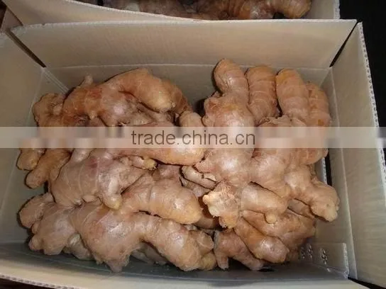 Fresh Ginger