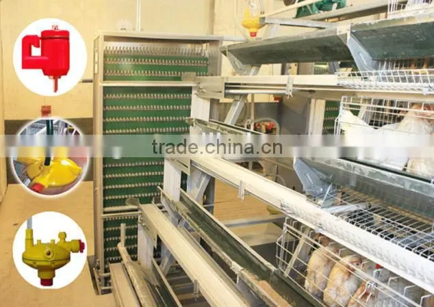 High Quality Prefabricated Chicken Shed and Chicken Farm