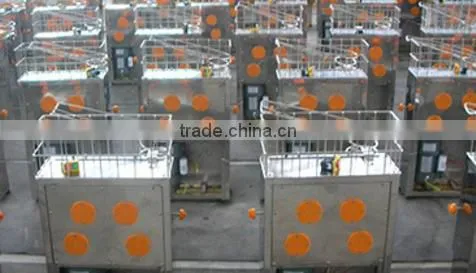 Commercial Electric Orange Juicer Orange Juicer Machine Automatic Orange Juicer (whatsapp:0086 15039114052)