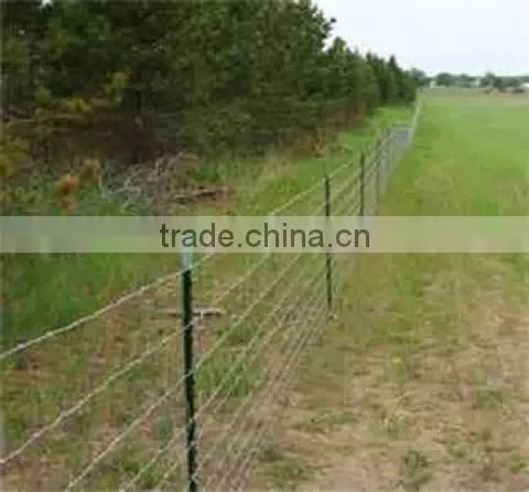 QIang Yu Factory Best Price Barbed Wire