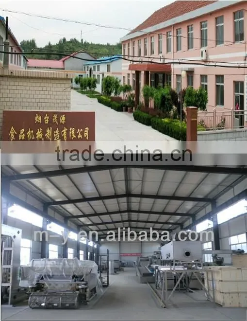 2015 newest design peanut mixing equipment with CE/ISO9001
