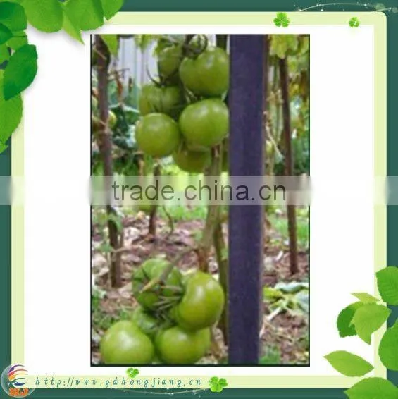 Tree Plastic Support Post 48MM