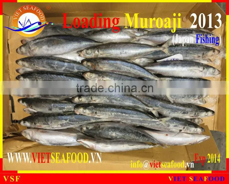 LOADING MUROAJI FOR TUNA BAIT