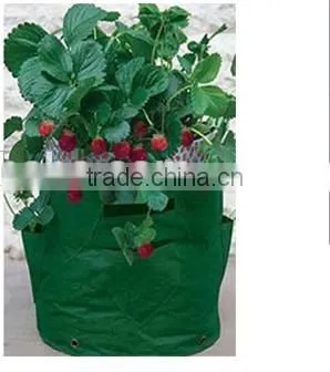 Cheap environmental handled plastic plant grower bags