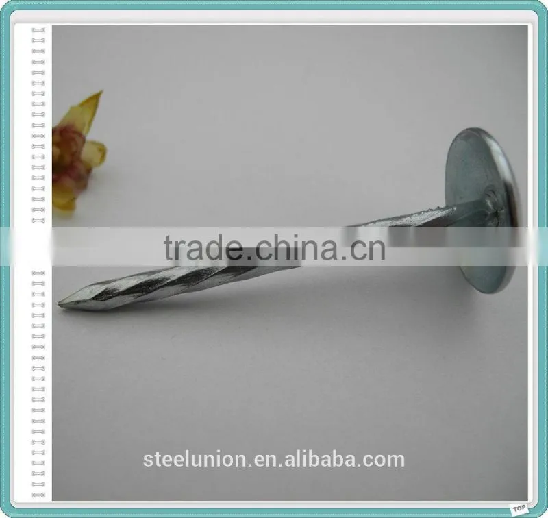 2.5 Inch Umbrella Head Galvanized Twisted Shank Roofing Nails