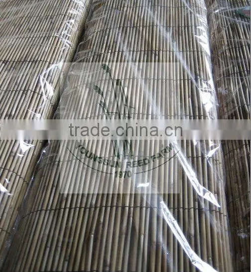reed fence