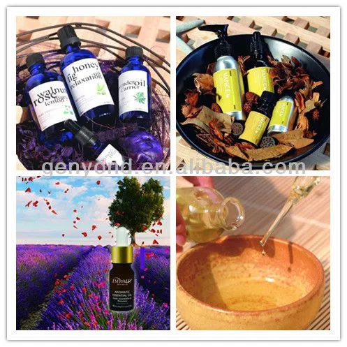 20% off Multipurpose Essential Oil Extractor