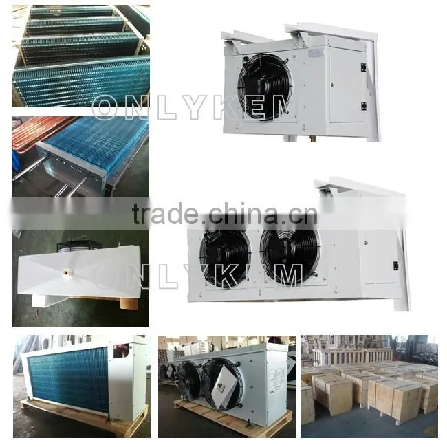 Portable air cooler for cold storage cold room