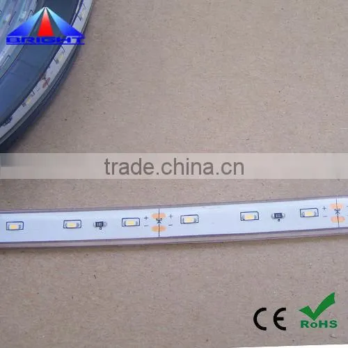 12V 3014 LED Strip IP68 PU glue waterproof