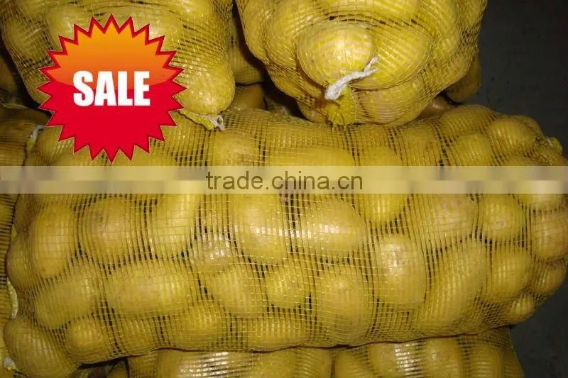 New crop russet potato with high quality