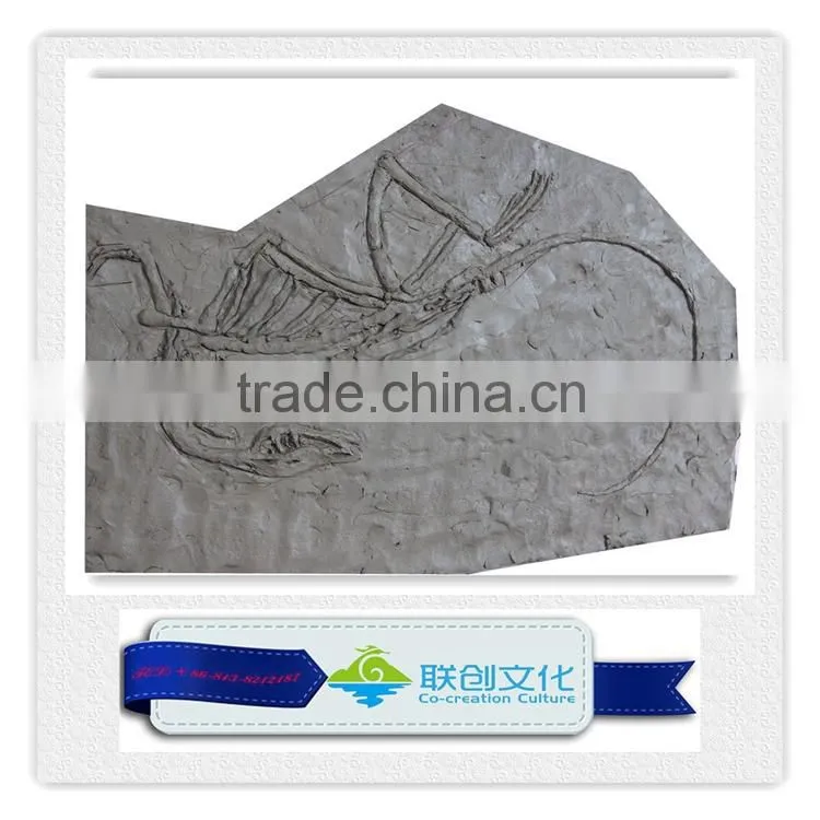 Dinosaur fossil replica for dinosaur museum educational sample