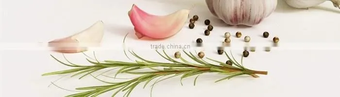 purple mesh bag fresh normal white garlic