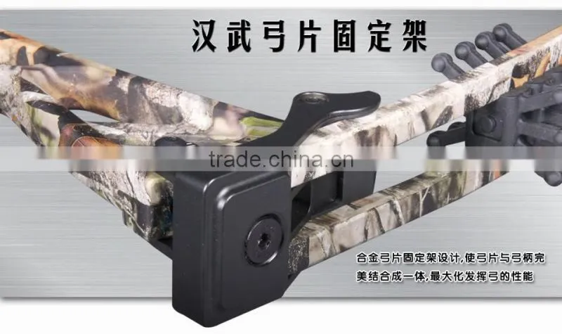 China Hot Sale Compound Bow 170