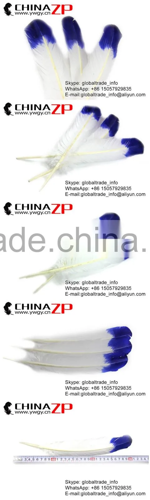 CHINAZP Factory Cheap Wholesale Feather Size from 30cm to 35cm Dyed Blue Half Dipped Bicolourable Turkey Rounds Wing Feathers