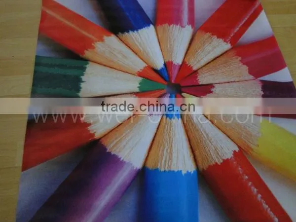 10 feet large price flex banner printer for sale