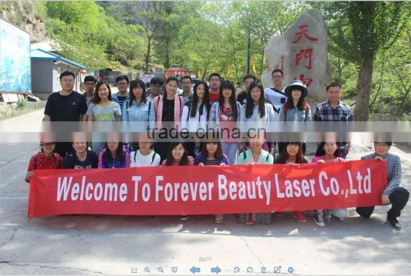 Forever Beauty Laser Dilas Laser Bars 808nm Hair Removal