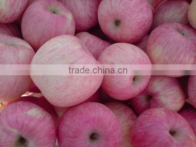 Fresh Fuji Apple of China