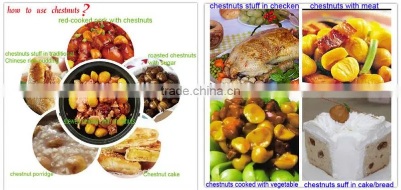 peeled roasted chestnut's kernels in soft canned
