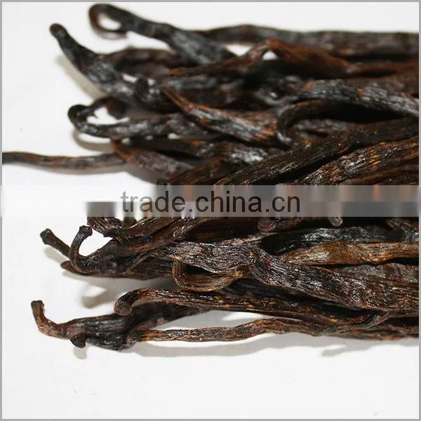 vanilla beans wholesale