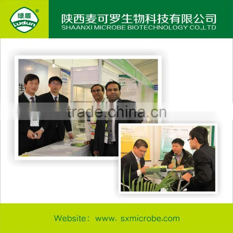 classification fungicide Kasugamycin copper oxychloride
