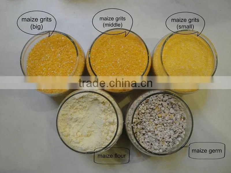 Corn Grinder Plant and Corn Flour Mill Plant