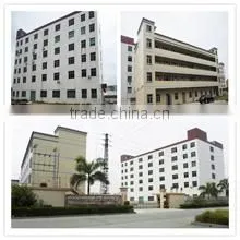 Dongguan LZY Arts & Artificial Plants Co., Ltd. company overview - view 1