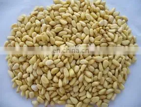 automatic almond sheller pine nut cracker machine