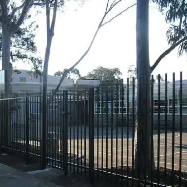 image (19).png