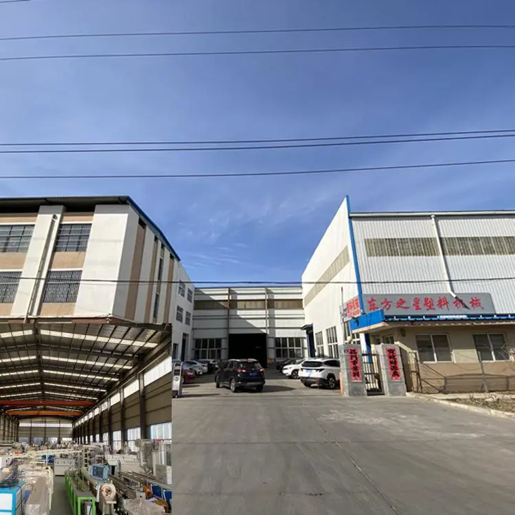 Qingdao Eaststar Plastic Machinery Co., Ltd. company overview - view 1