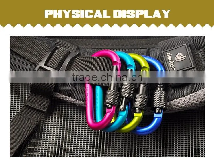 Carabiner KeyChain