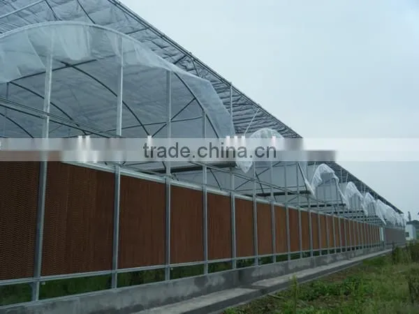 Agricultural Greenhouses Used Sale