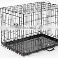 china facotry green color epoxy coated wire mesh