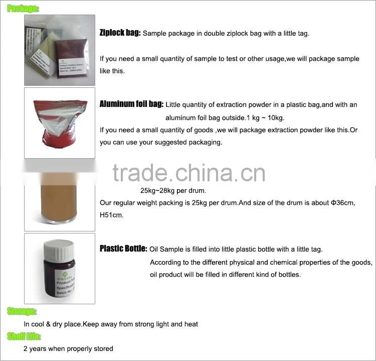 100% natural flavor Rose Hip fruit powder Fruit Juice Powder