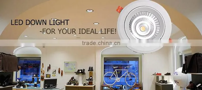 SMD 10W 640LM Aluminum Alloy 2015 SMD IP44 Waterproof Certificated in CE ROHS LED Downight