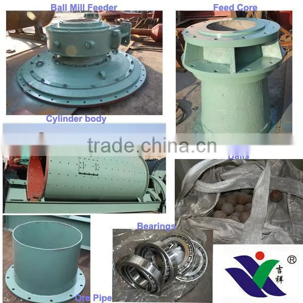 Mineral Processing/Gold Production Equipment Rolling Bearing Mill Accessory